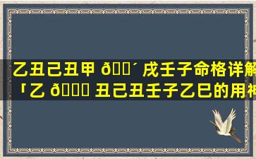 乙丑己丑甲 🌴 戌壬子命格详解「乙 🕊 丑己丑壬子乙巳的用神是什么」